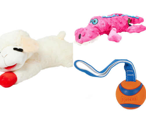 Your Guide to Making Sure Your Dog is Living it's Best Life 🐶 cover photo collage