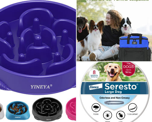 Favorite dog accessories cover photo collage
