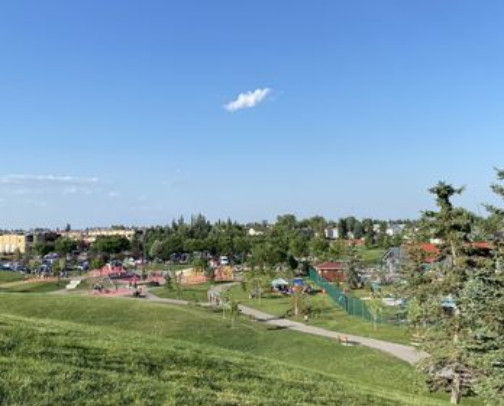 My top Calgary recs cover photo collage