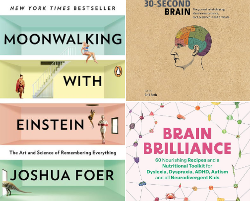 The Owner's Manual Your Brain Never Had cover photo collage