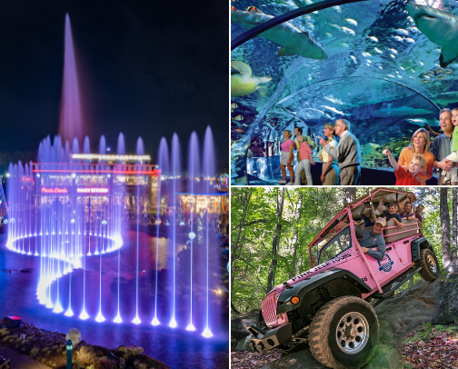 Things to do in Pigeon Forge/Gatlinburg cover photo collage