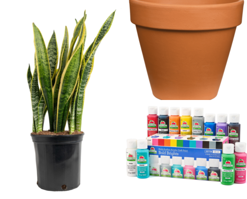 Plants My Kids Pot and Decorate While I Actually Keep Them Alive cover photo collage