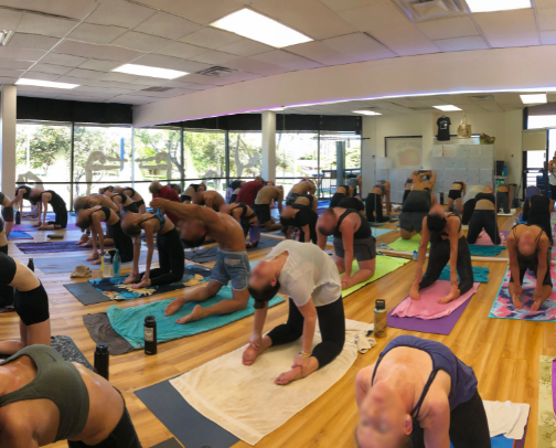 Oahu Fitness cover photo collage
