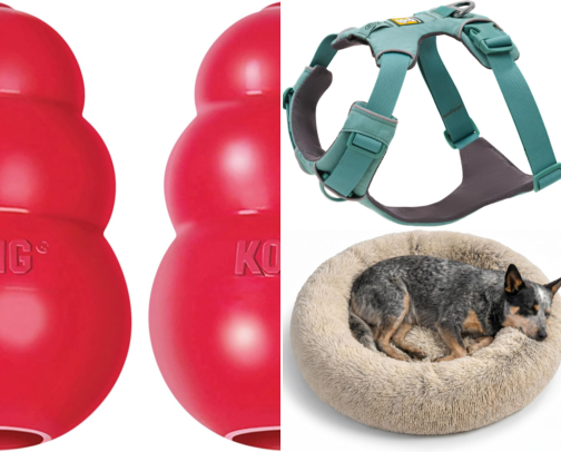 Gifts for Dog Lovers 🐕 cover photo collage