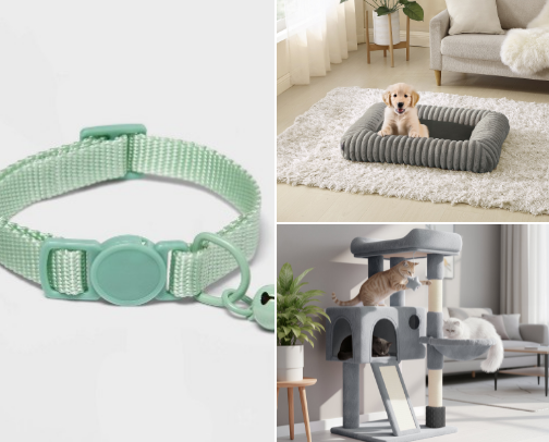 Cat Essentials and Accessories cover photo collage