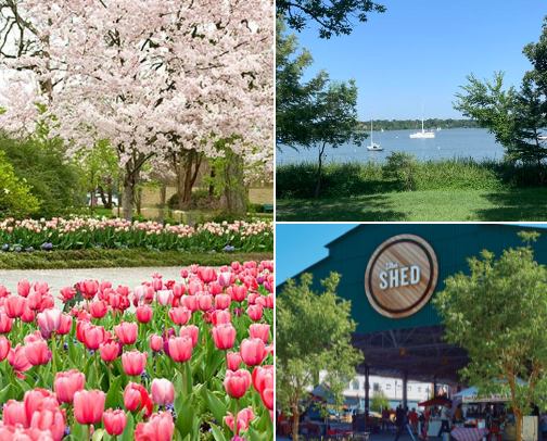 From BBQ to Sky Views: The Ultimate Dallas To‑Do List cover photo collage