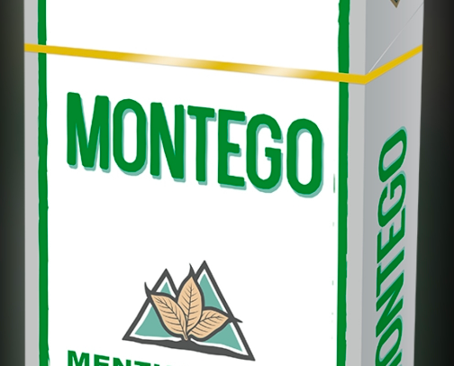 Montego Menthol Shorts for the win! cover photo collage