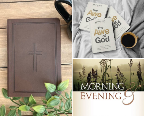 Inspiring Bible Based Daily Devotionals and Books 📚 Get Rooted in Him. cover photo collage