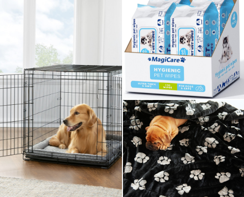 Traveling with Buck and Bronco cover photo collage