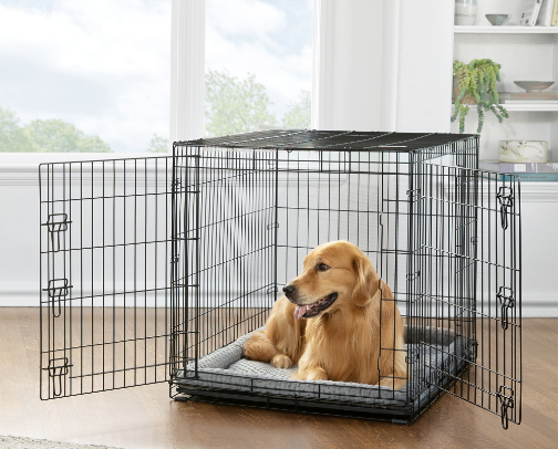 Traveling with Buck and Bronco cover photo collage