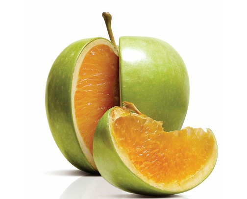 Nonfiction books I'm still thinking about cover photo collage