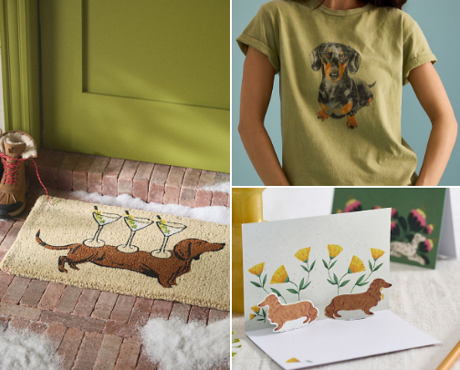 ✨Anthropologie x Dachshund Must-Haves cover photo collage