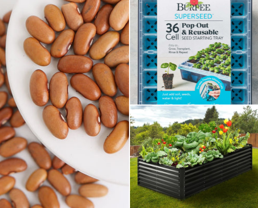 Everything you need to start a garden 🪴 cover photo collage