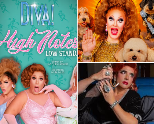 Must See Show’s in Provincetown cover photo collage