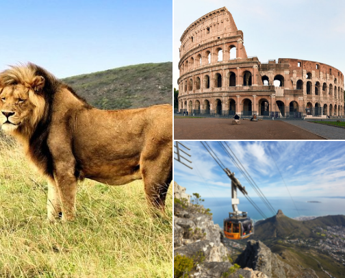 Things to do cover photo collage