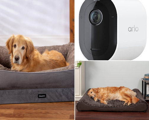 Fur babies cover photo collage