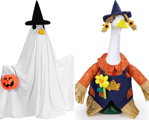 Porch Goose Outfits cover photo collage
