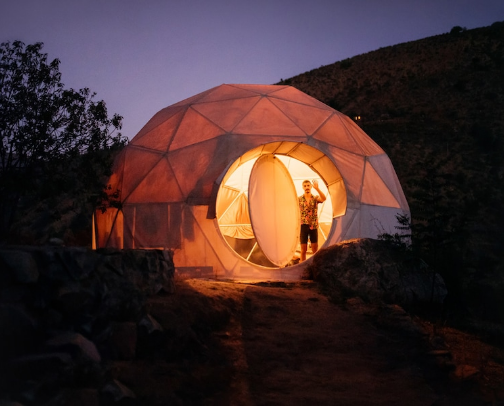 Pet-Friendly Travel & Getaways cover photo collage