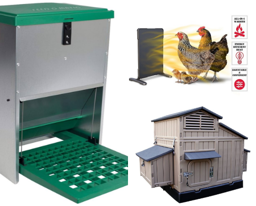 Chicken Keeping 101 cover photo collage