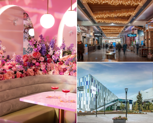 Edmonton Essentials: The Must-See Spots, Hidden Gems, and Local Favorites cover photo collage