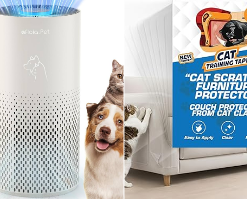 Keeping Your Home ✨Clean✨ cover photo collage