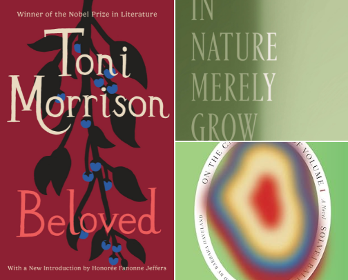 Mid Year Wrap Up: Books I Read from Jan - June 2026 cover photo collage
