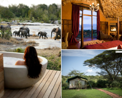 Stunning Safari Destinations cover photo collage