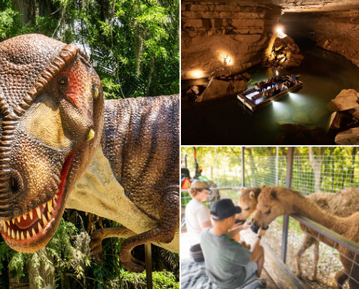 South Kentucky road trip cover photo collage