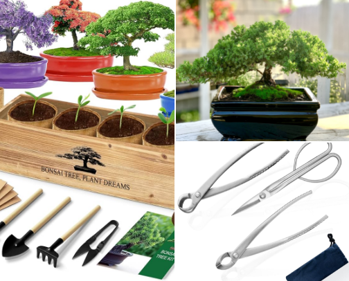 Bonsai Tree Starter Kit Essentials: Top Amazon Picks for Central Florida Gardeners cover photo collage