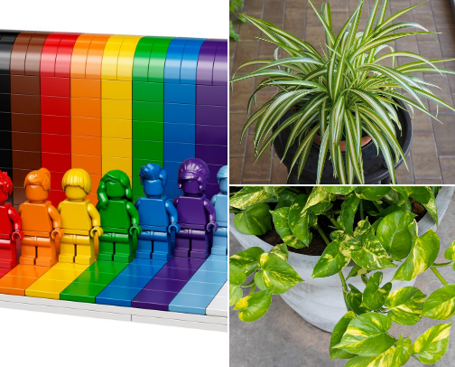 Curated Chaos Home Decor cover photo collage