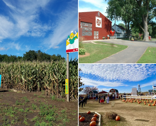 🍂 Fall Activities in Minnesota cover photo collage