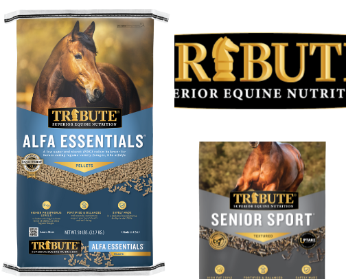Favorite Tribute kalm & EZ horse feed cover photo collage