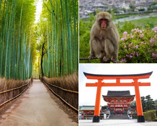 Kyoto, Japan — Perfected First-Timer Itinerary cover photo collage