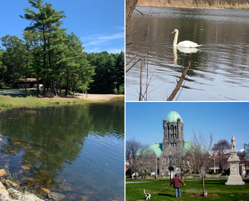 Things To Do In My Area (From Someone Who Actually Lives Here) cover photo collage