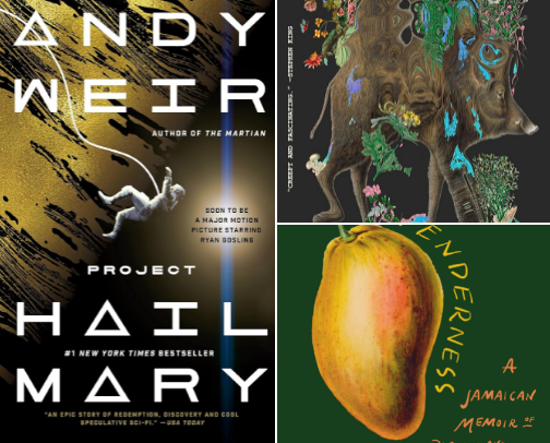 My 2026 Reading List cover photo collage