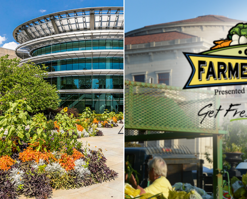 Indiana exclusives club ❤️ cover photo collage