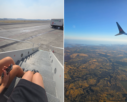 🌎 World Traveller ESSENTIALS (From a Flight Attendant) ✈️ cover photo collage