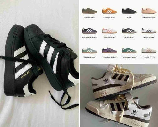 Step Into Comfort cover photo collage