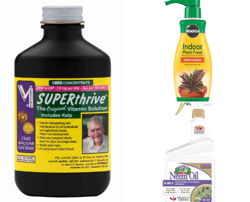 Plant Parent Starter Pack cover photo collage