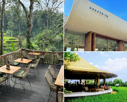 The Ultimate Guide to Bali’s Most Instagrammable Cafes cover photo collage