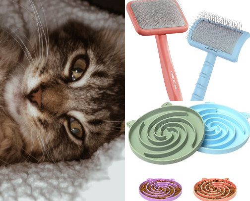 My Must-Haves For My Cat Friends cover photo collage