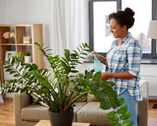 ₊₁ Plant Knowledge 🌱 cover photo collage