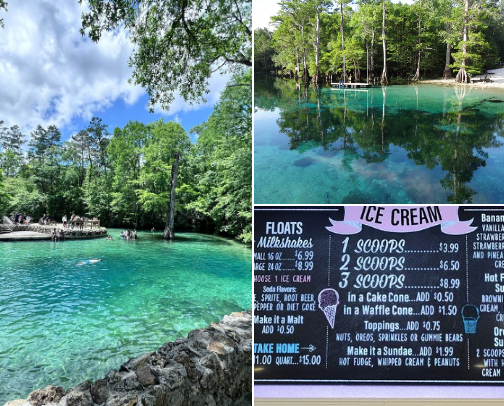 Interesting Places to Visit in Florida 🌞🏝️ cover photo collage