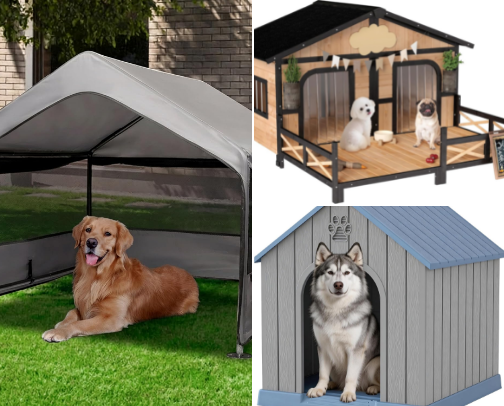 For All the Pups! 🐶 cover photo collage