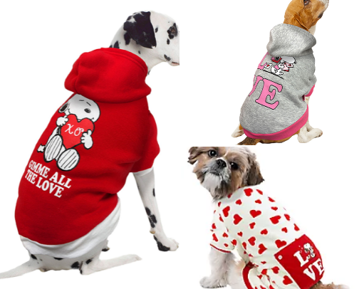 Dog Valentines Day Items cover photo collage