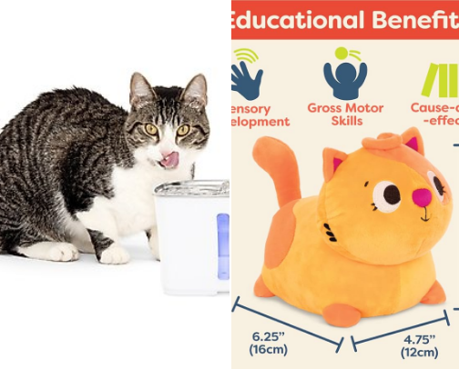 Cat toys cover photo collage