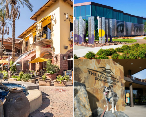 Palm Springs, The SoCal Gem cover photo collage