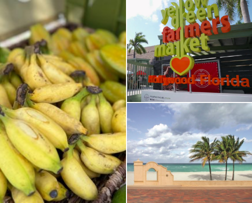 South Miami Extracurricular! cover photo collage