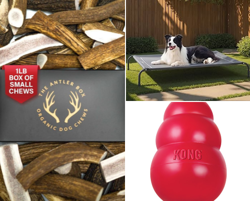 Fur Baby Must-Haves cover photo collage