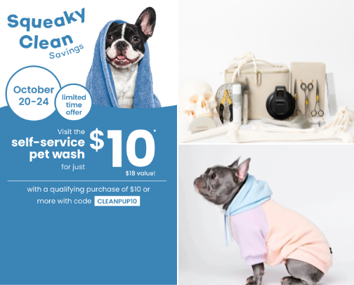 Animal lovers cover photo collage